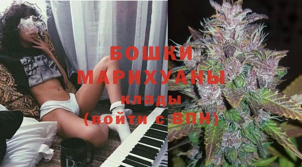 молекула духа Лабытнанги