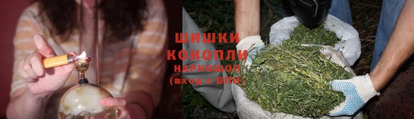 прущий лед Бикин