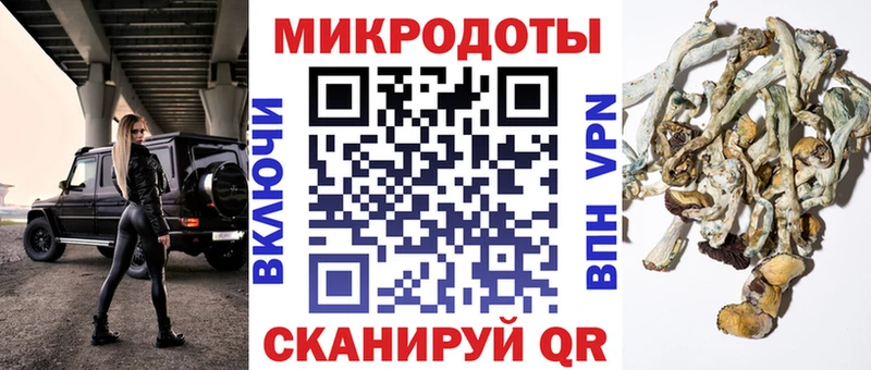 Псилоцибиновые грибы Psilocybine cubensis  Изобильный 