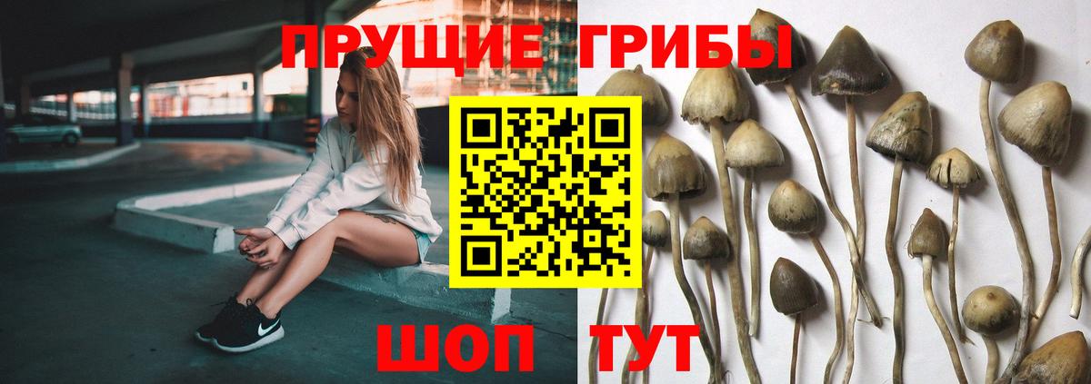 Изобильный  Псилоцибиновые грибы ЛСД  продажа наркотиков  Вход с VPN 